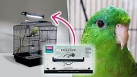 витамини за папагали - 80279 бестселъри | Parrots Paradise витамини за папагали - 47451 бестселъри