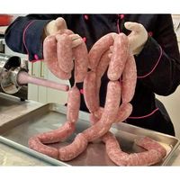 пълначка за месо - 52568 типа пълначка за месо - 48261 типа