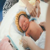 Стволови клетки от пъпна връв - 36780 предложения Стволови клетки от пъпна връв - 32560 предложения
